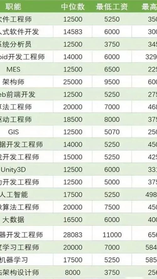計算機高新技術軟件開發工程師薪金探析 技術與服務的價值體現